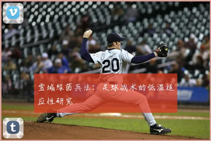 雪域绿茵兵法：足球战术的低温适应性研究